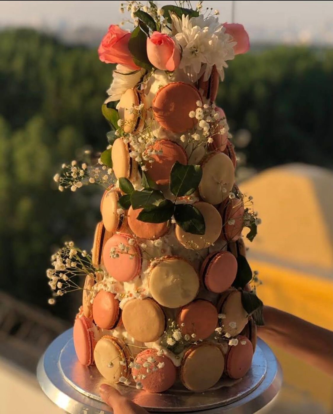 whatsapp image 2026 03 27 at 7.46.38 pm